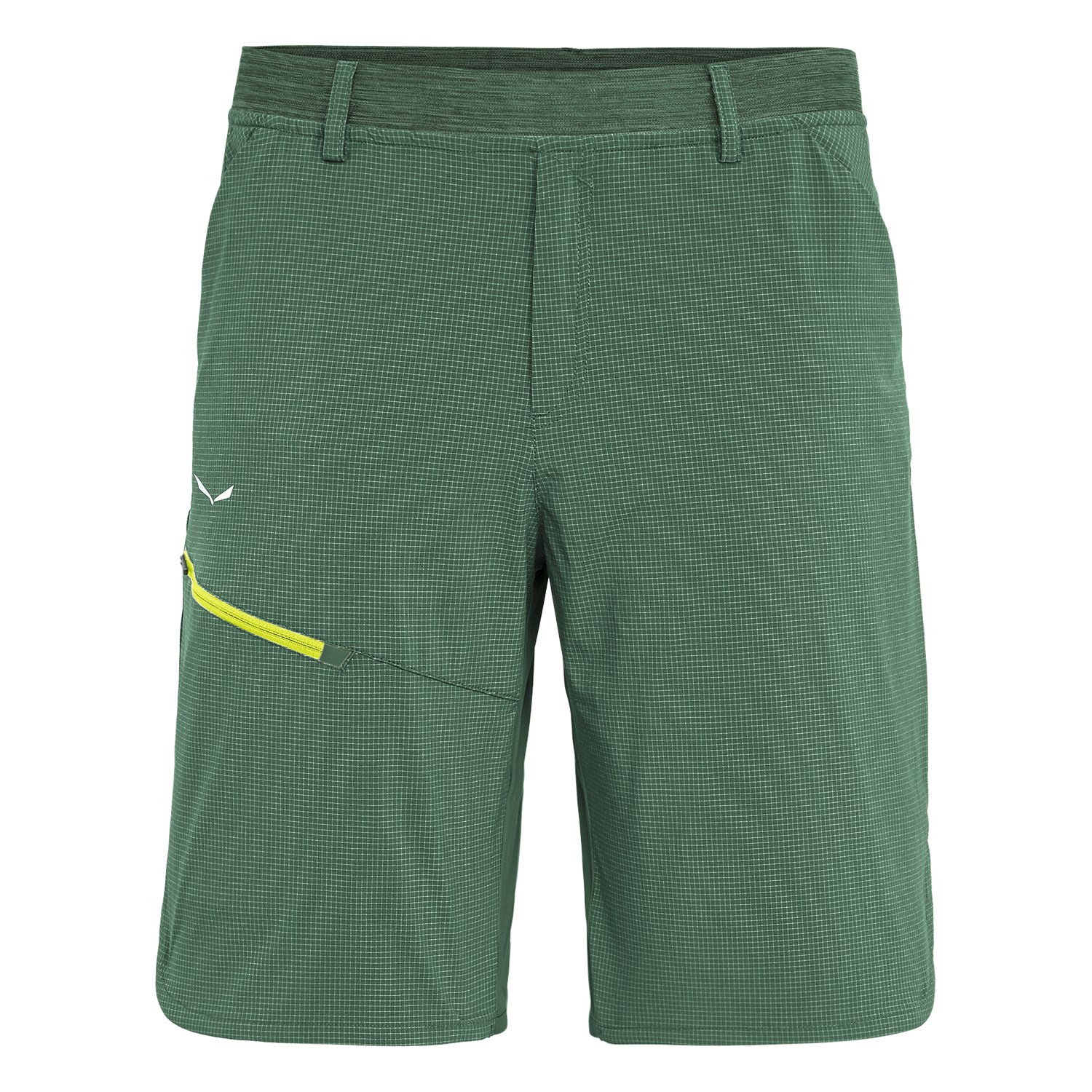 Salewa Men's Puez 3 Durastretch Shorts Green FBL-981652